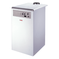 Газовый котел Nova Florida Altair RTN E 36
