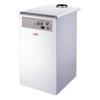 Газовый котел Nova Florida Altair RTN E 60