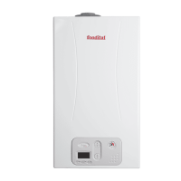 Газовый котел Fondital Antea CTFS 24