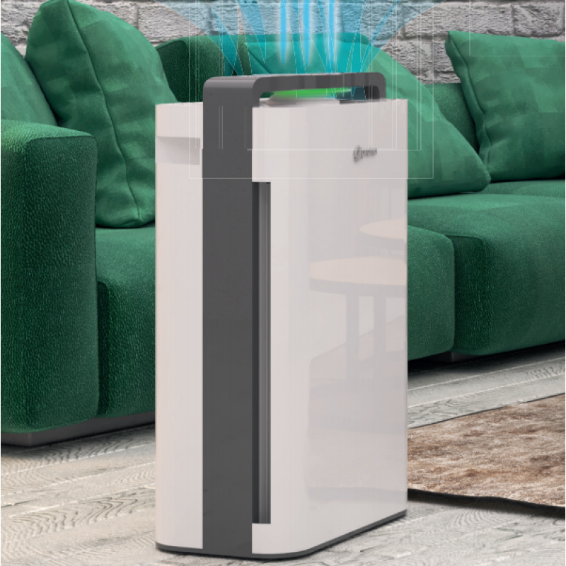 Миття повітря PRANA Air Cleaner PRO