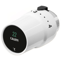 202000 Головка термостатична цифрова Caleffi S.p.a.
