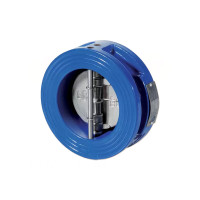 D6.02125016BK3 Міжфланцевий зворотній клапан (обтюратор AISI 304) EPDM -10/+100°C DN250 Brandoni S.p.A.