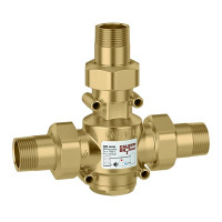 280076 Biomass Клапан антиконденсаційний для твердопаливного котла Ø1 1/4&Prime; 60°C до 100 кВт Caleffi S.p.a.