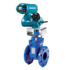 20.900I080E16EED Засувка з прогумованим клином DN80 + електропривід CK 400 V Brandoni S.p.A.