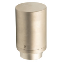 A49500L Термостатична головка TERMODESIGN L (запобіжник) SATIN NICKEL M30 x 1,5 Carlo Poletti Srl