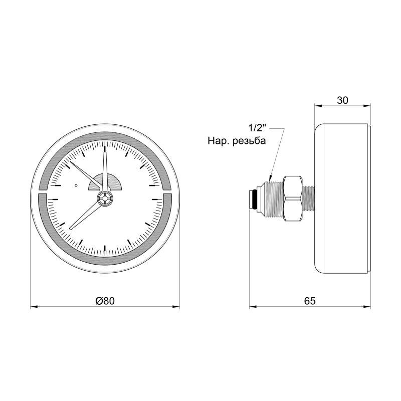 Термоманометр Thermo Alliance Standart 80 мм 1/2", заднє підмикання SD1736B
