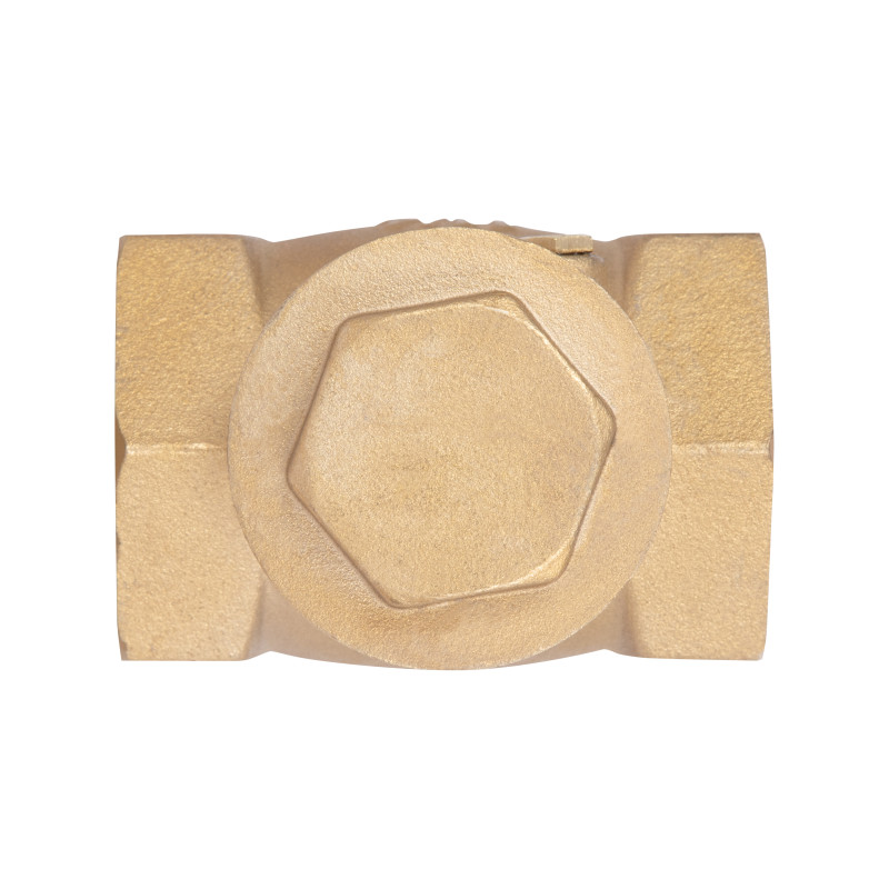 Зворотний клапан Thermo Alliance Standart 1 1/4" SD242W32