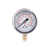 Манометр із гліцерином Thermo Alliancе Forte 6 бар, 1/4"З, нижнє підключення TAF170G6B
