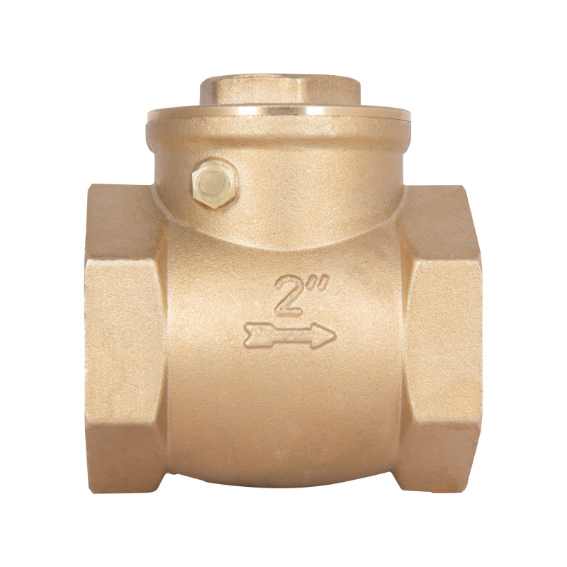 Зворотний клапан Thermo Alliance Standart 2" SD242W50