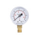 Манометр Thermo Alliance Standart 50 мм 1/4", нижнє підмикання SD1706B