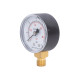 Манометр Thermo Alliance Standart 50 мм 1/4", нижнє підмикання SD1706B