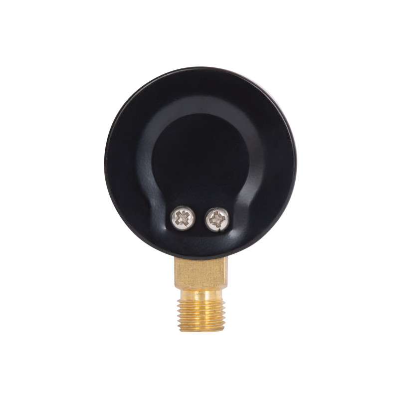 Манометр Thermo Alliance Standart 50 мм 1/4", нижнє підмикання SD1706B